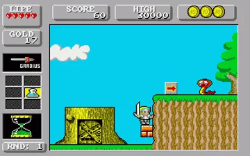 Super Wonderboy in Monsterland screen shot game playing